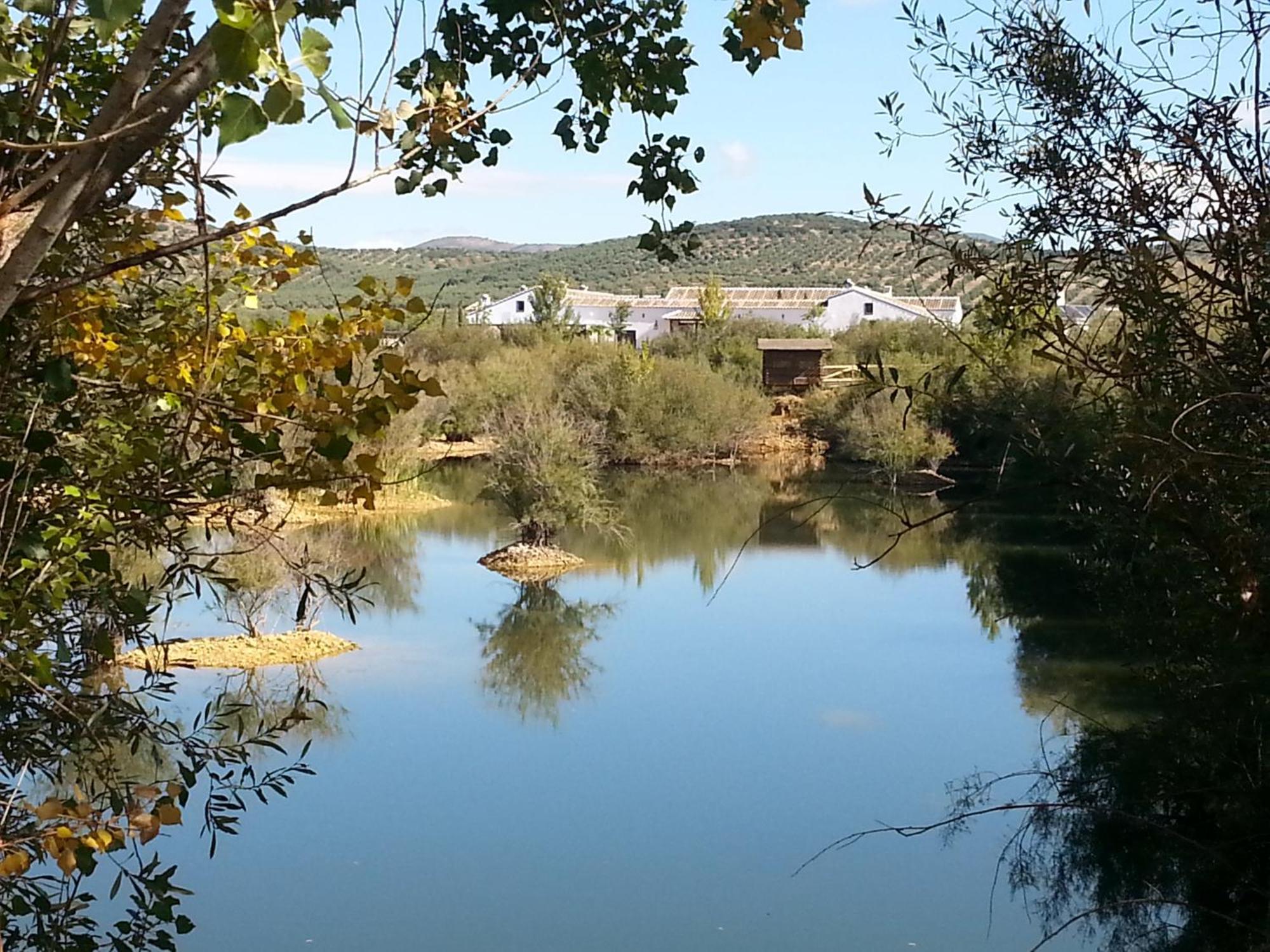 Complejo Turistico Rural Fuente Taray Apartment Malagon ภายนอก รูปภาพ